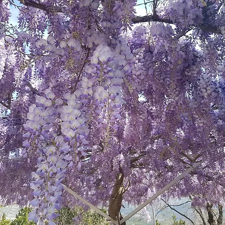 By The Sea Slano, Dubrovnik - 8599 Lejlighed *