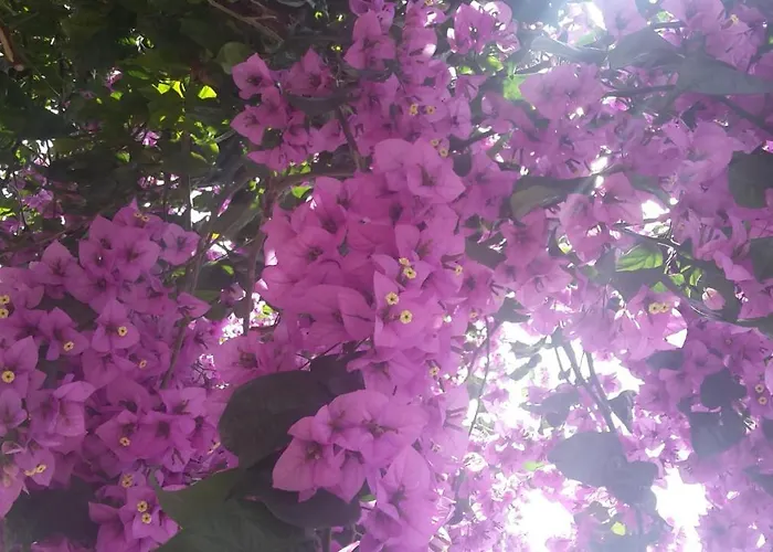 By The Sea Slano, Dubrovnik - 8599 * 슬라노