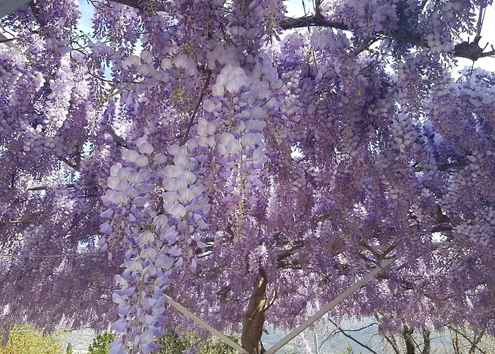 By The Sea Slano, Dubrovnik - 8599 아파트 *