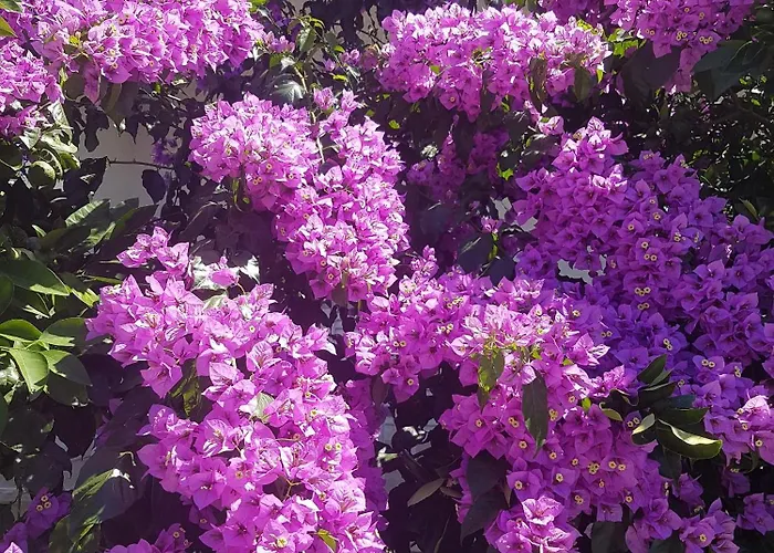 By The Sea Slano, Dubrovnik - 8599 슬라노