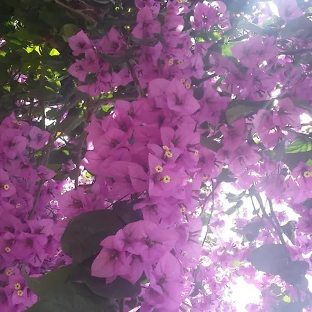 By The Sea Slano, Dubrovnik - 8599 * Slano