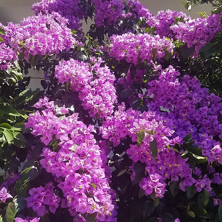 By The Sea Slano, Dubrovnik - 8599 Slano